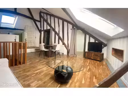 grand studio 40 m2 sous comble (80 m2 au sol) refait à neuf + clim plein centre ville libr
