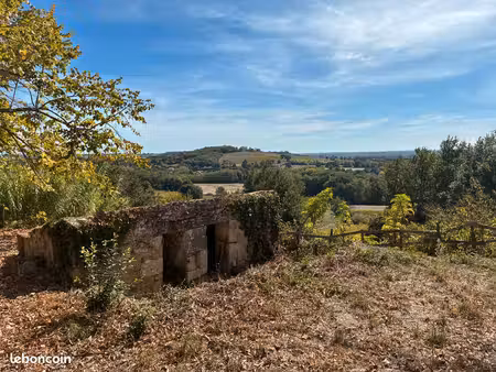 maison dans les vignes