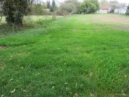 en bordure de charente  terrain