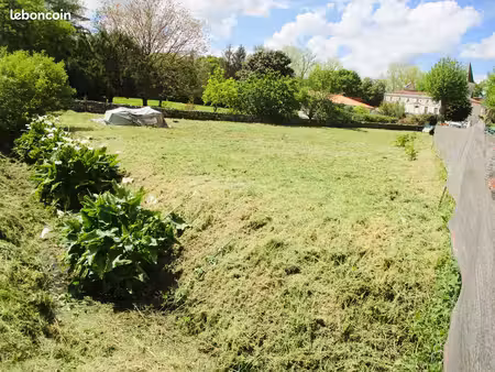 en bordure de ruisseau  un coin de verdure