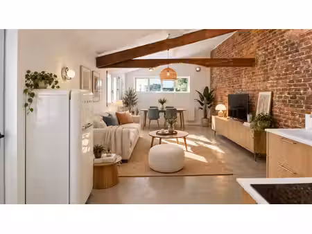 bas de montreuil-limite vincennes-8 mn rer a et l1 et l9-a vendre appartement loft esprit 
