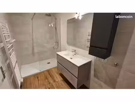 superbe t2 complètement rénové  au calme et au plein centre-ville d'auxonne