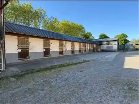 établissement chevaux