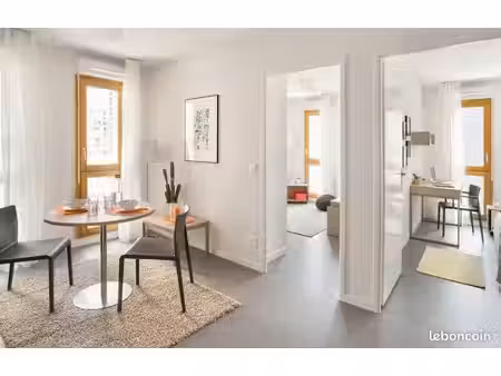 appartement lyon 7ème t3 meublé 54m2