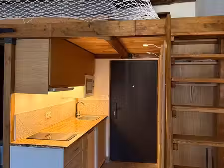 appartement meublé rénové avec mezzanine - miribel centre