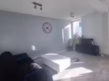 location meublée appartement 1 pièce 39.88 m² à limoges (87000)  535 €