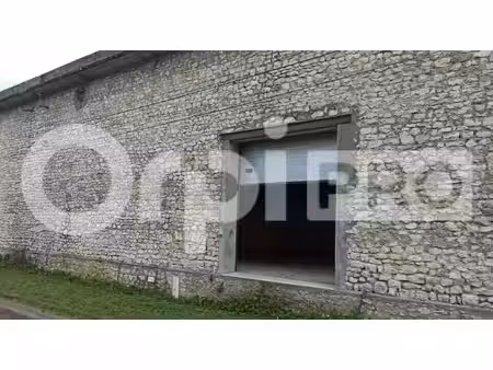 location entrepôt cepoy 45120 248m²