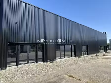 vente commerce saint-alban 31140 1374m²