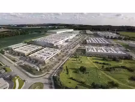 location entrepôt / local d'activités ayguemorte les graves 12 917 m²