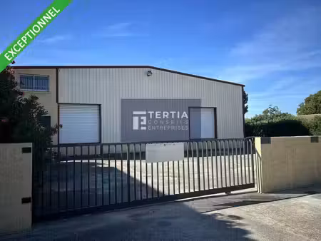 location entrepôt gigean 34770 782m²