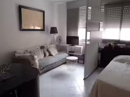 location appartement 1 pièce 26 m² à cannes (06400)