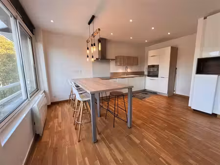 a louer ! grand f3 duplex nancy anatole france