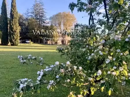 maison raphele-les-arles - 5 chambres - 180m²