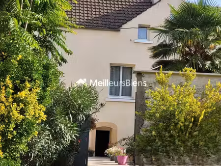 triel sur seine - centre ville - maison 168 m² + studio - terrasse 80 m² - cave voutee - 2