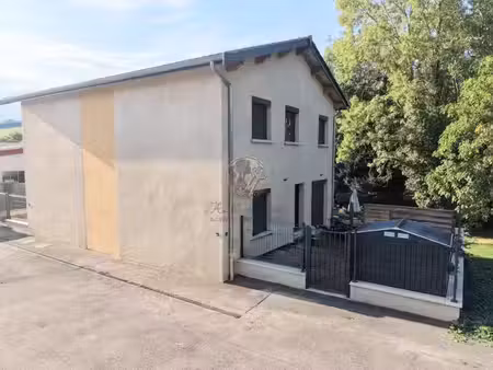 thurins investissement locatif 2 maisons rénovées en 202