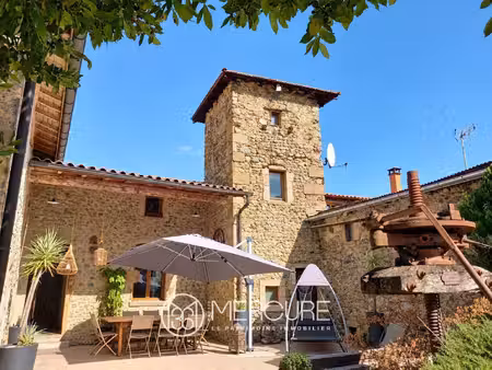 achat maison 11 pièces 403m² st pierre de boeuf 42520