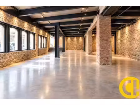 location commerce annecy 74000 478m²