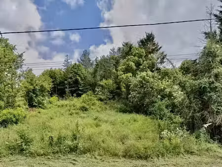 vente terrain 3310 m² à gy-l'evêque (89580)  21 000 €