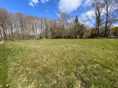 vente terrain 1296 m² à saint-jouvent (87510)  33 000 €