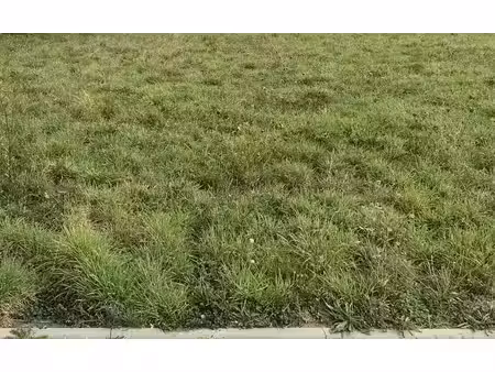 vente terrain 832 m² à chanu (61800)  21 632 €