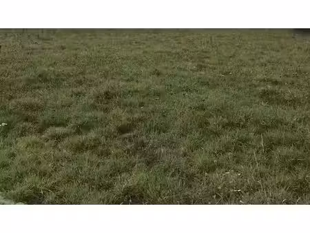 vente terrain 812 m² à lalacelle (61320)  12 180 €