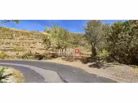 vente terrain 6797 m² à collioure (66190)  23 000 €