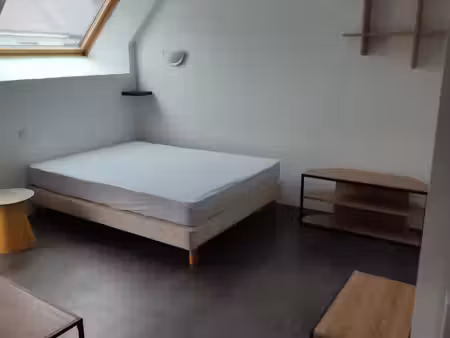 location appartement 1 pièce 20m² st ave 56890