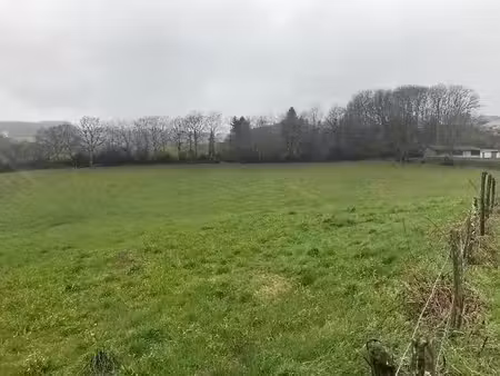 vente terrain 1160 m² à lafeuillade-en-vézie (15130)  32 000 €