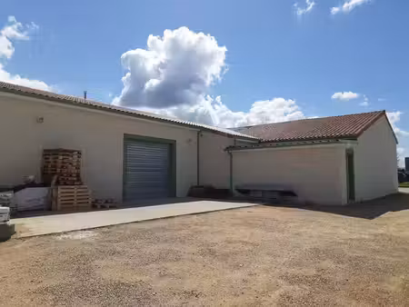 vente commerce 376 m² cissé (86170)