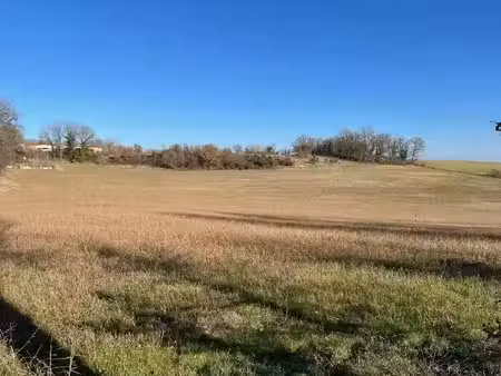 vente terrain 1371 m² à mailhoc (81130)  43 900 €
