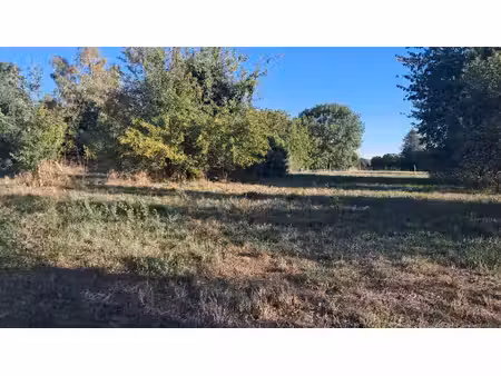 vente terrain 1129 m² ozillac (17500)