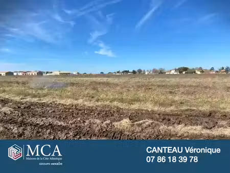 vente terrain 295 m² saint-georges-de-didonne (17110)