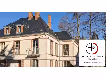 vente maison 11 pièces 290 m² à sully-sur-loire (45600)  364 000 €
