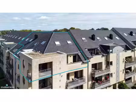 appartement te koop in lanaken met 5 slaapkamers