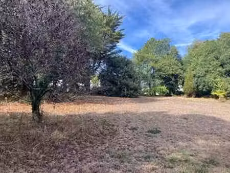vente terrain à sarzeau campagne-atlantique (56370) : à vendre / 1151m² sarzeau campagne-a