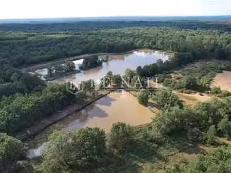 vente bois  forêt et étang à salbris (41300) : à vendre / 1120000m² salbris