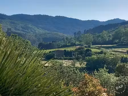 monze (11800)