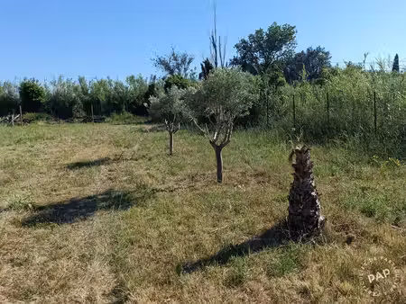 rivesaltes (66600)