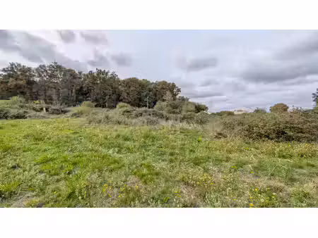 achat terrain 7 053m²