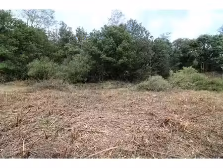 terrain constructible 400 m2.