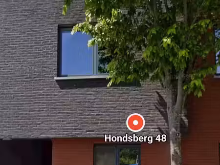 appartement te huur in essen met 2 slaapkamers