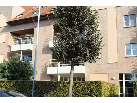 appartement te huur in hoogstraten met 3 slaapkamers