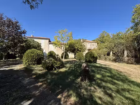 achat maison 20 pièces 700m² vallans 79270
