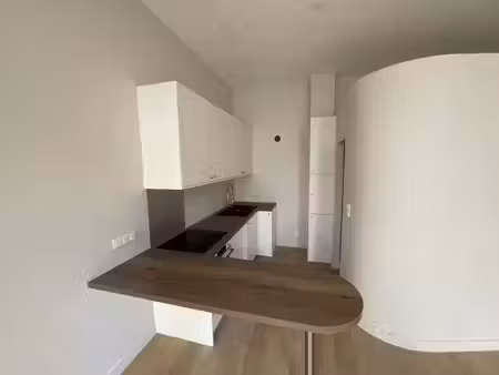 location appartement 2 pièces 53 m² à lyon 4 (69004)