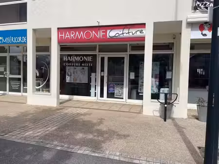 vente commerce sautron 44880 58m²