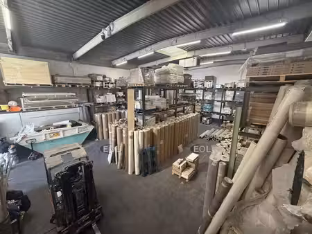 vente local d’activités torcy 77200 917m²