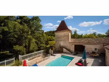 vente maison 15 pièces 700 m² saint-maurin (47270)