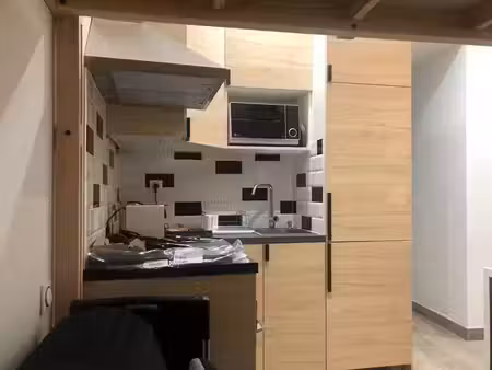 location appartement 1 pièce 15 m² à crémieu (38460)