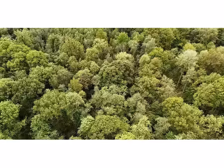 bois à vendre à mettet pour € 138.200