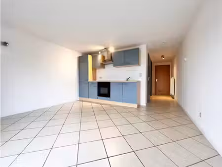 studio à louer  35 m2  neuvillers - libramont  epc b